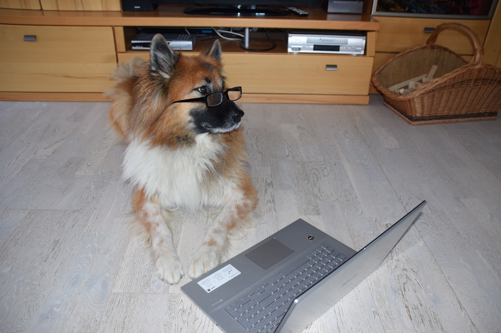 Beratungsgespräch vereinbaren