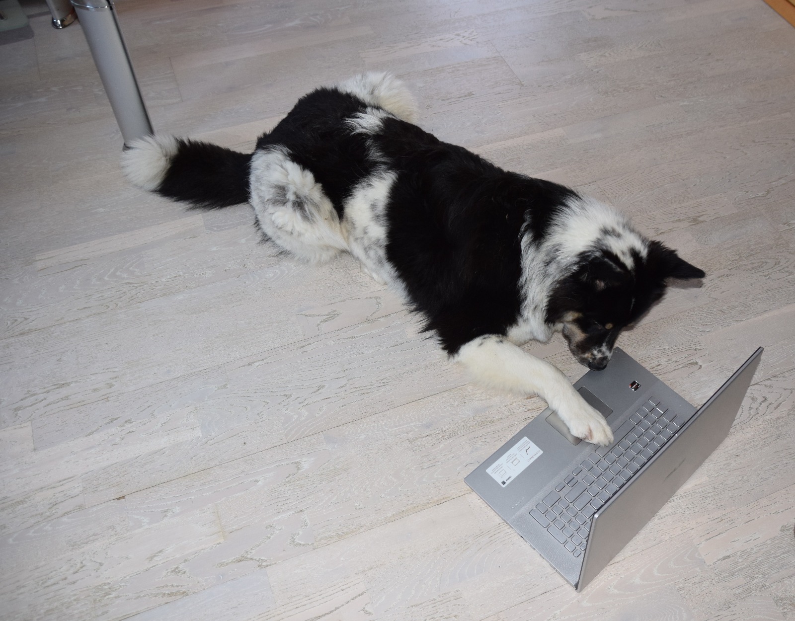 Passendes Produkt aussuchen